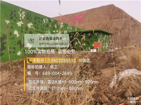 浙江星空迷彩墙施工队