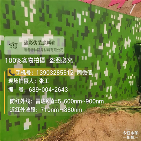浙江星空迷彩漆，夏令营训练,数码迷彩作训墙,围墙